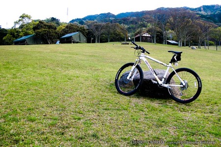 芝生の中の自転車
