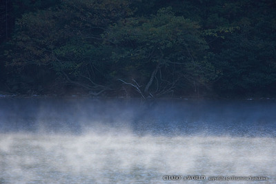 朝霧のダム湖